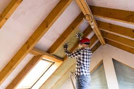 Best Attic Insulation Installation  in Luling, TX